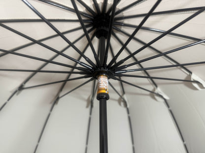 Electric Umbrella
